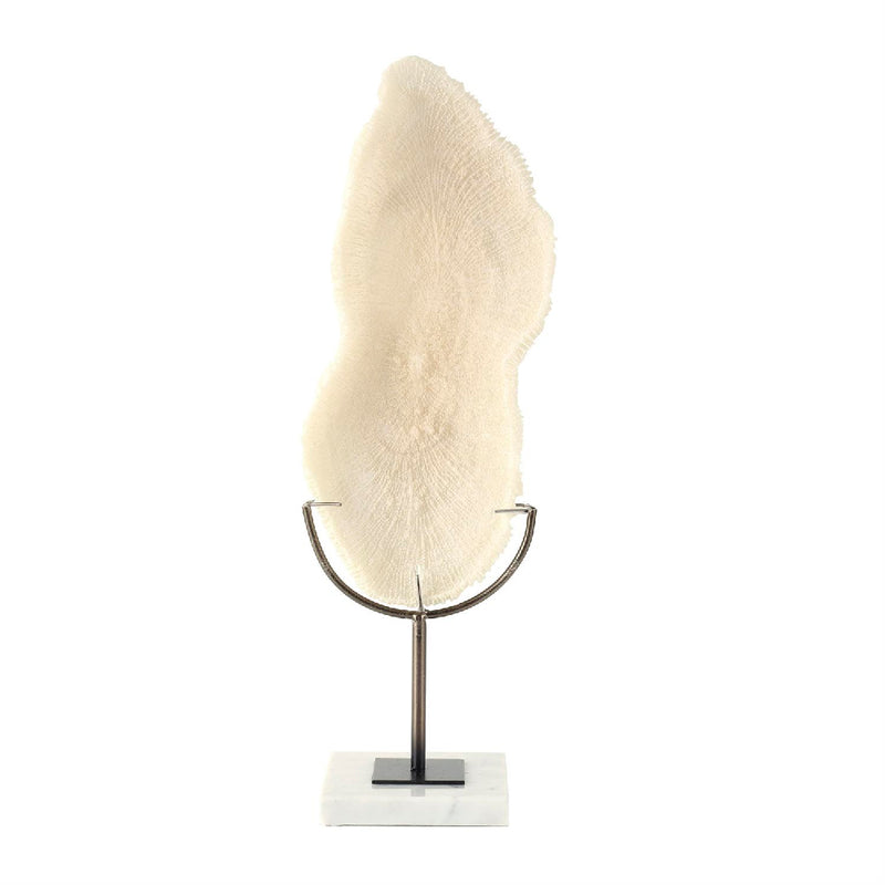 Escultura de Coral Abstracta UA-1946