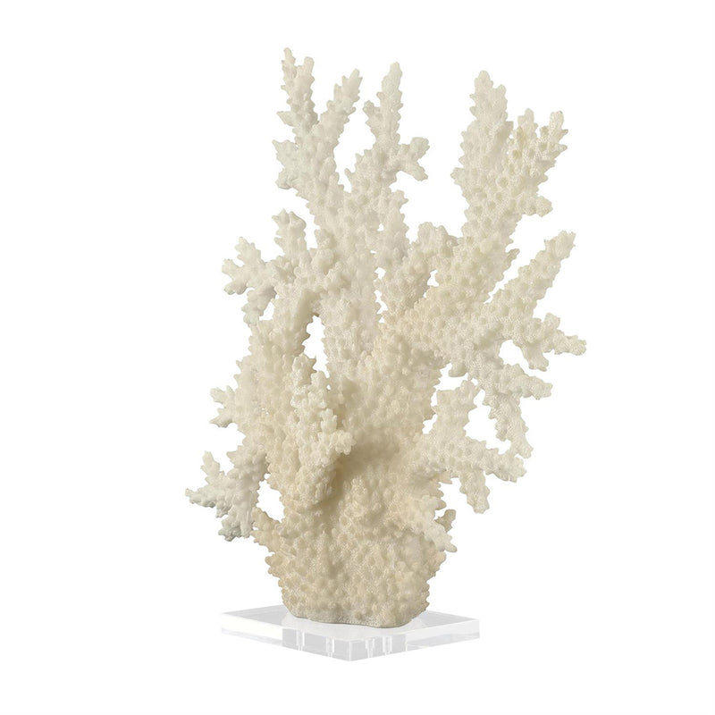 Escultura de Coral Crema UA-1947