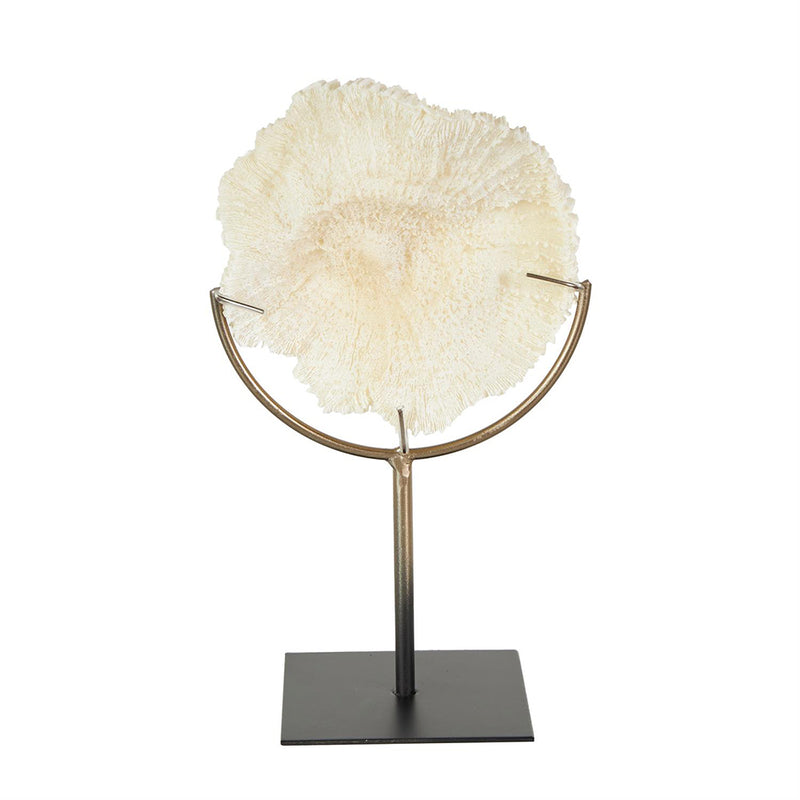 Escultura de Coral UA-1949