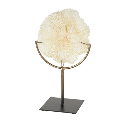 Escultura de Coral UA-1949
