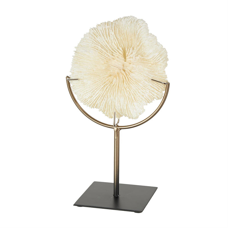 Escultura de Coral UA-1949