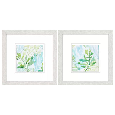 Cuadro Seaweed PG-230A/B