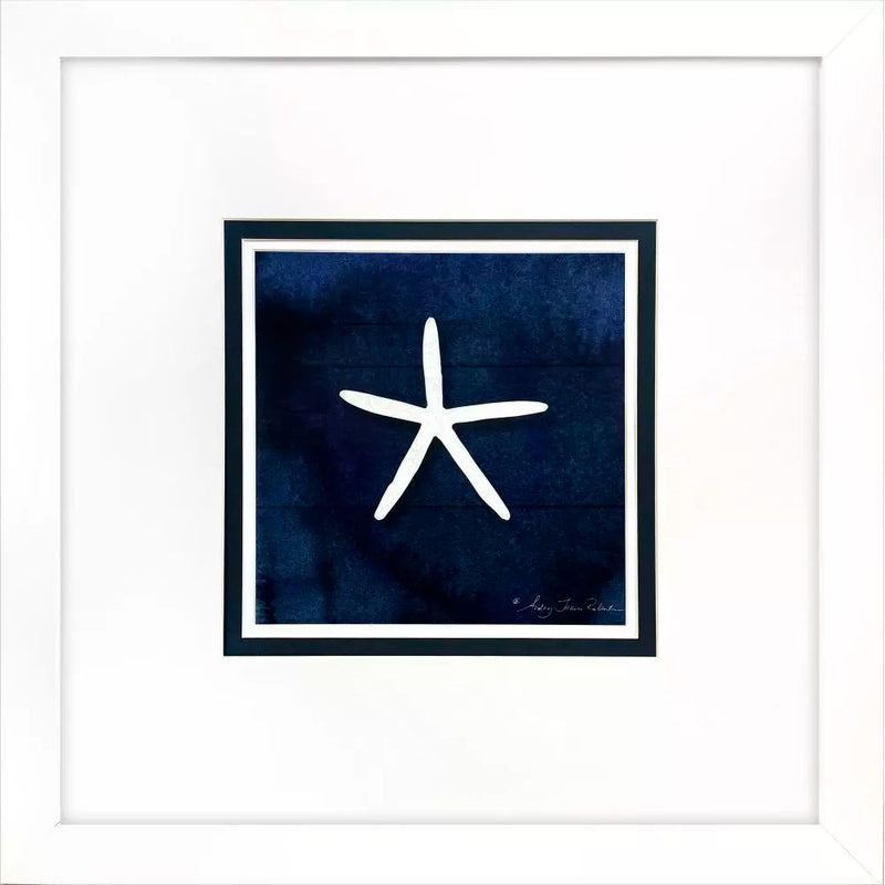 Cuadro Coral/Estrella PG-197A/B