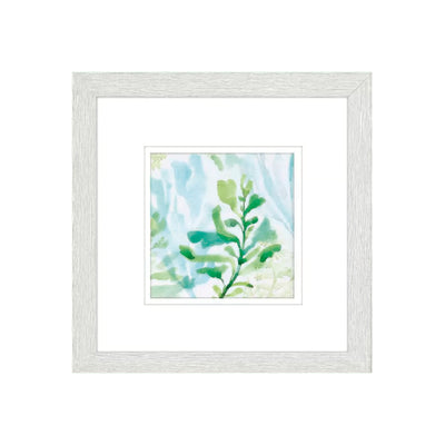Cuadro Seaweed PG-230A/B