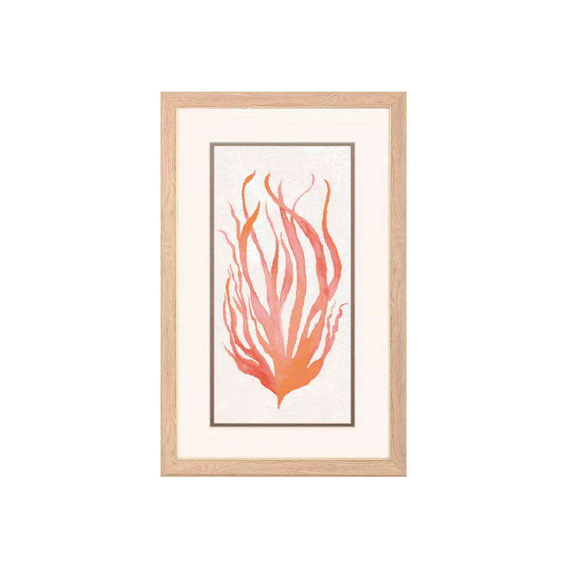 Cuadro Coral Algas PG-236A/B