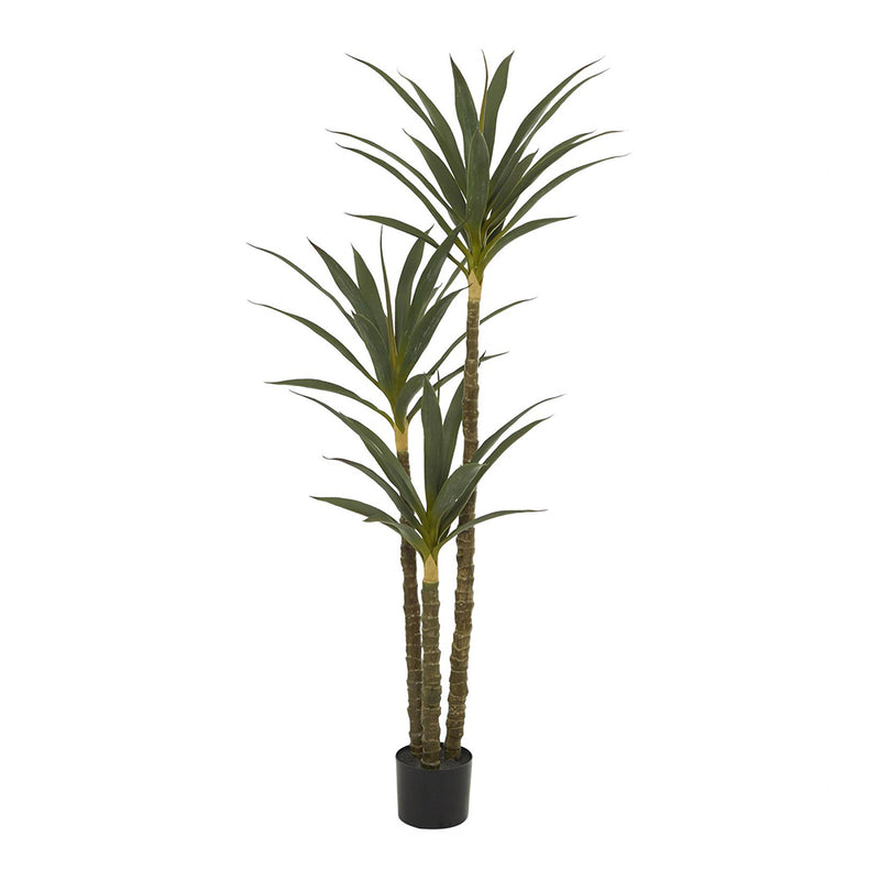 Maceta Planta Sisal UA-1938