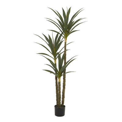 Maceta Planta Sisal UA-1938