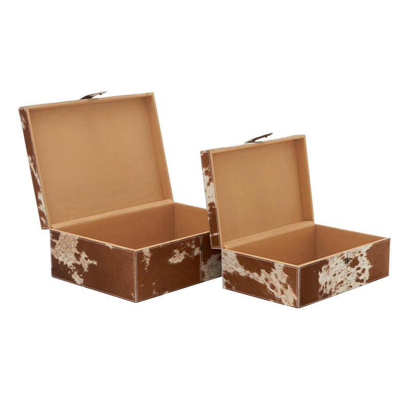 Set 2 Alhajero Vaca UA-2229