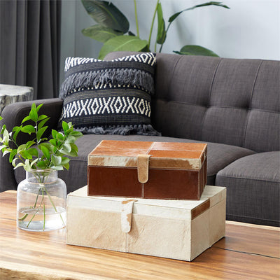 Set 2 Alhajero Vaca UA-2229