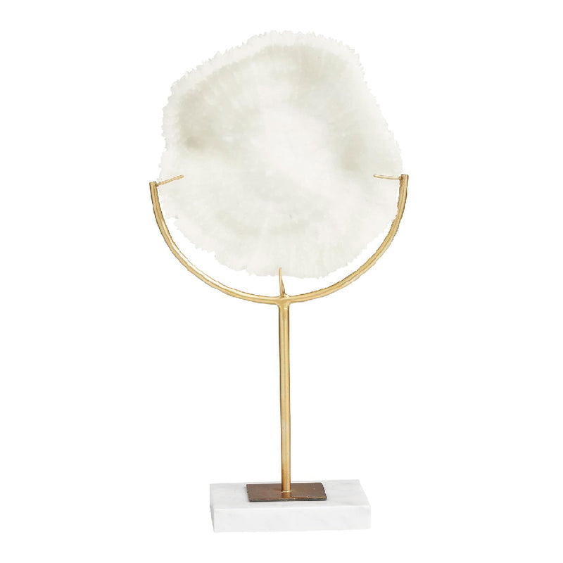 Escultura Coral UA-2251