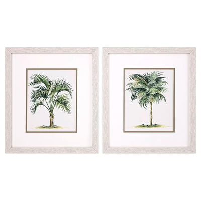 Cuadro Palmera PG-240A/B