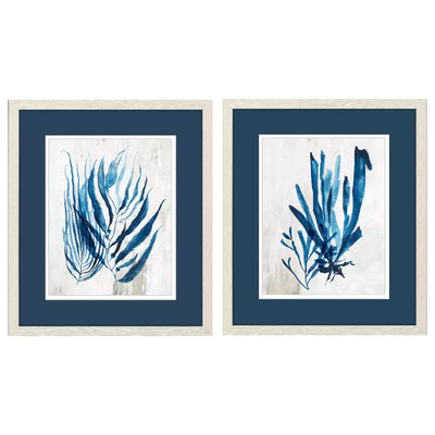 Cuadro Planta Coral PG-233A/B